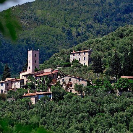 Peralta Villa Camaiore Exterior photo