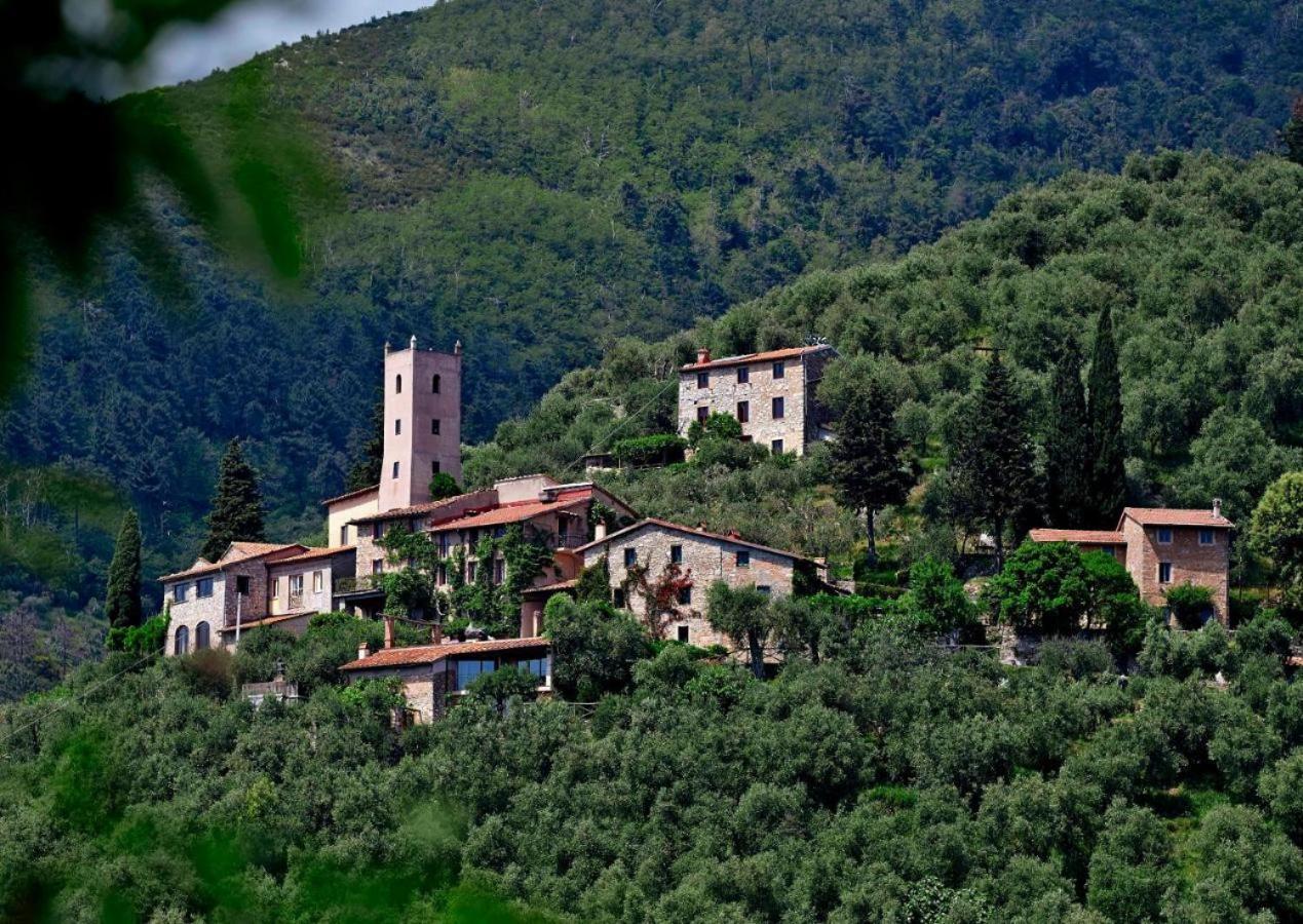 Peralta Villa Camaiore Exterior photo