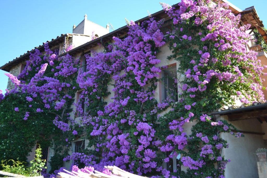 Peralta Villa Camaiore Exterior photo